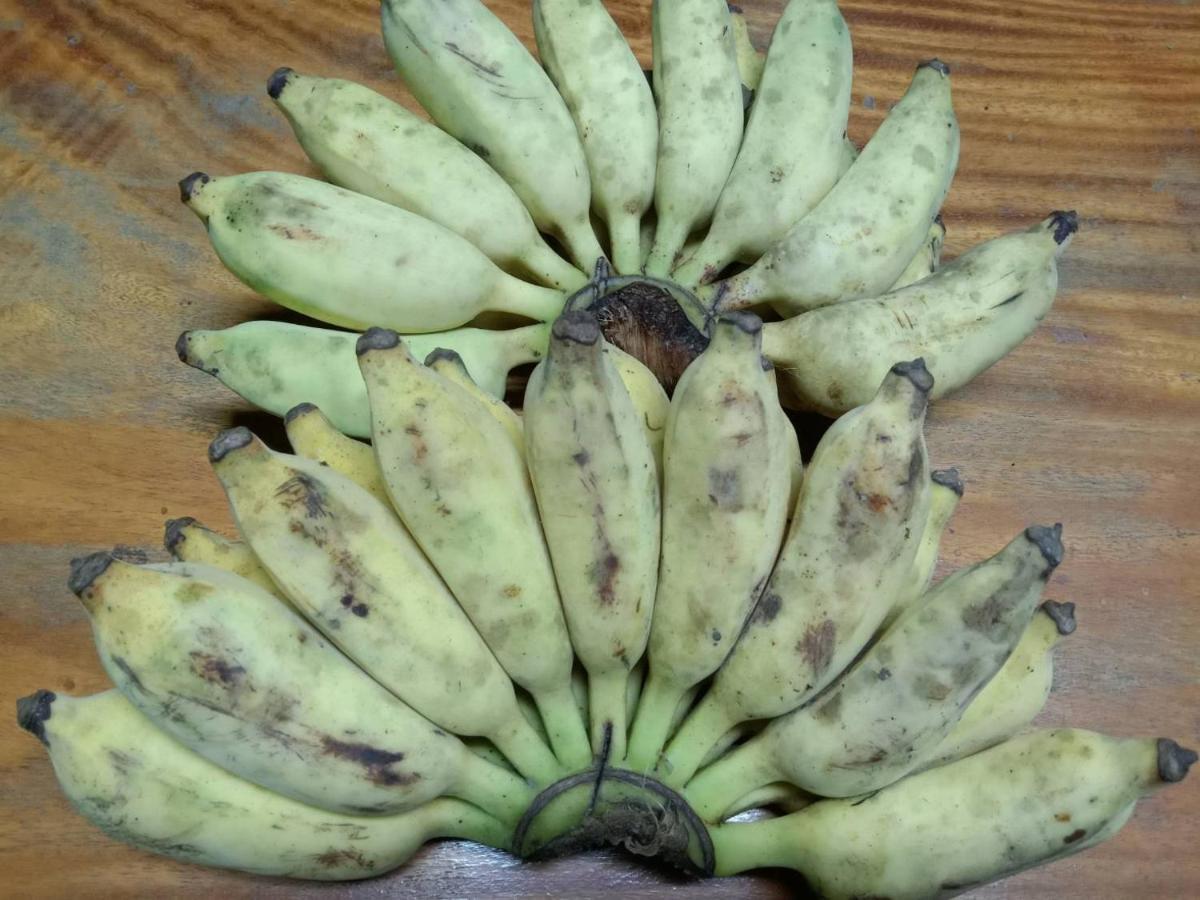 Ban Chang Klang Na Nong ap Chang エクステリア 写真