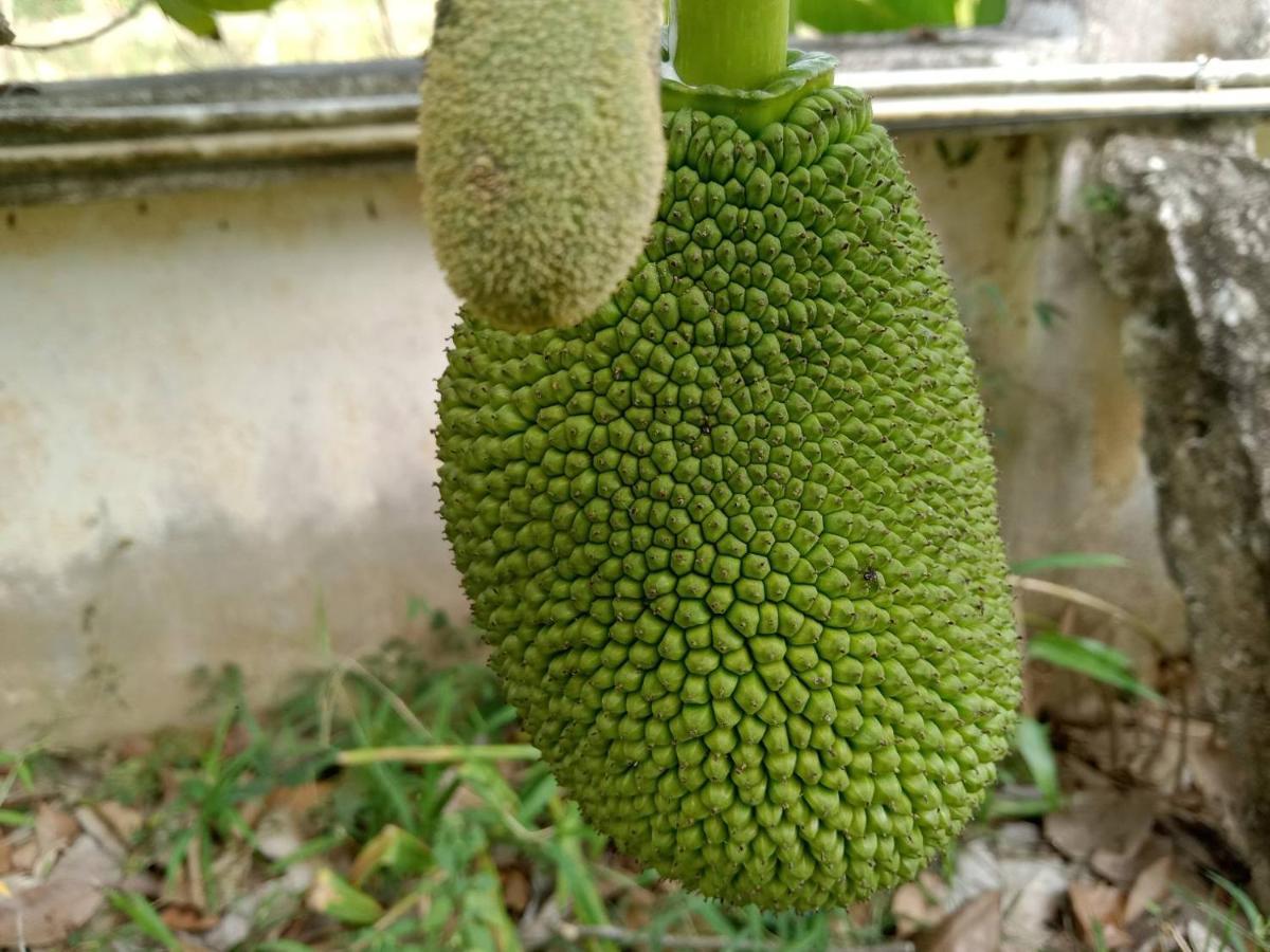 Ban Chang Klang Na Nong ap Chang エクステリア 写真